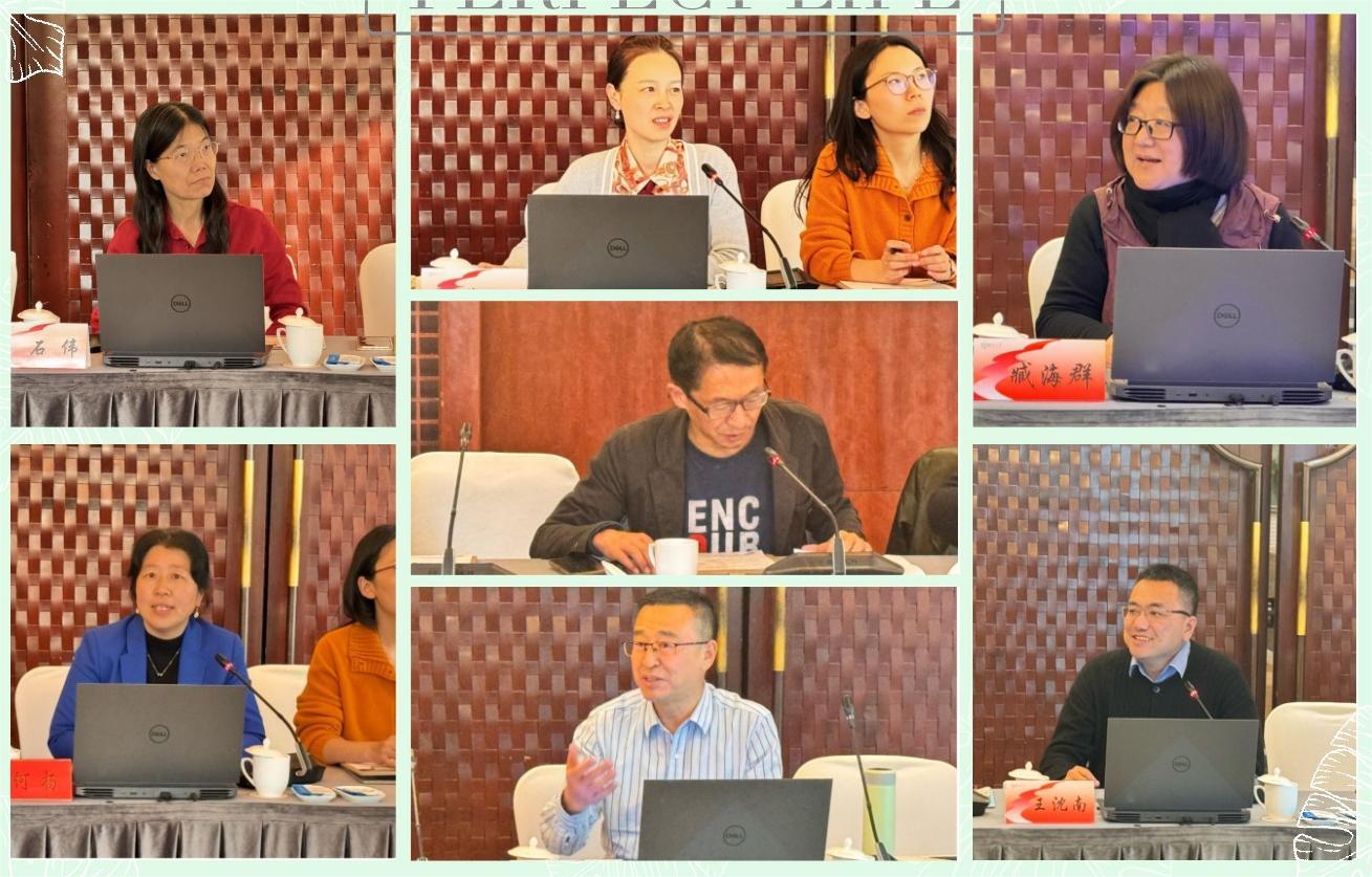 报告图片.jpeg